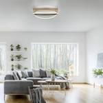 Smart Home Deckenleuchte Q-BELUGA LED