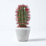K眉nstlicher Kaktus Denmoza Rhodacantha