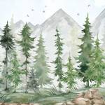 Kindertapete Tannen­wald Aquarell 300 x 250 x 300 cm