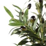 Kunstpflanze OLIVE I Grün - Kunststoff - 50 x 172 x 50 cm