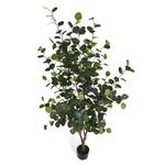 Plante artificielle Eucalyptus Vert - Matière plastique - Textile - 80 x 180 x 80 cm