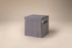 Lifeney Aufbewahrungsbox mit Deckel Grau Kunststoff - 33 x 3 x 34 cm