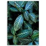 Leinwandbild Tropisches Blatt Natur 70 x 100 cm