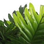 Plante artificielle Philodendron 80 x 60 x 80 cm