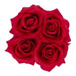 Weiße Rosenbox rund 4 Rosen Rot - Weiß - Papier - Kunststoff - Textil - 13 x 14 x 13 cm