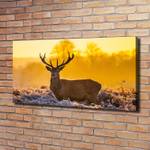 Wandbild Hirsch Sonnenaufgang 120 x 60 cm