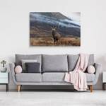 Image Cerf MONTAGNES Nature Paysage 3D 30 x 20 x 20 cm