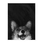 Illustration Hund Corgi Schwarz Weiß 135 x 180 cm