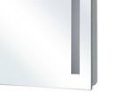 Badezimmerspiegel LIRAC Silber - Glas - 70 x 60 x 4 cm