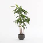 Plante artificielle Dracaena Hauteur : 100 cm