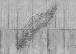 Fototapete Concrete Feather 611642 Grau - Naturfaser - Textil - 350 x 250 x 250 cm