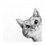 Katze Zeichnung Schwarz Weiß 100 x 100 cm