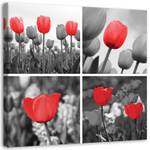 Blumen Rote Natur Tulpen Wandbild