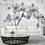 Fototapete Orchid in Shades Gray of