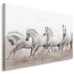 Leinwandbild Gallop Pferde Tiere Sand 3D 70 x 50 x 50 cm