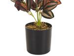 Plante artificielle TRADESCANTIA Noir - Vert - Rouge - Matière plastique - 10 x 35 x 10 cm