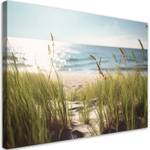 KUNSTDRUCK Serene Beach Grass Scene 100 x 70 cm