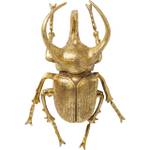 Wandschmuck Atlas Beetle Gold Gold - Kunststoff - 26 x 35 x 15 cm