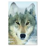 Wandbild Wolf Wald Nebel Natur Tiere