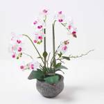Phalaenopsis-Orchidee wei脽e K眉nstliche