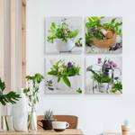 Set De Tableaux HERBES Fleurs Nature 60 x 60 x 60 cm