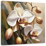 KUNSTDRUCK Golden Orchids 1 60 x 60 cm