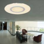 Plafonnier Ceiling and wall Plexiglas / Acier - 1 ampoule