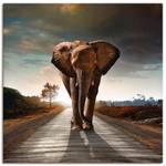 Stra脽e der Elefant auf Leinwandbild