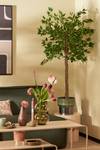 Kunstpflanze Ficus Grün - Metall - Kunststoff - Massivholz - 50 x 150 x 50 cm