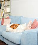 Hundebett  Kingston Striped 90 x 30 x 120 cm