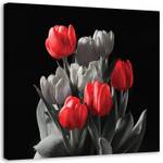 Rot Leinwandbild Tulpen Natur Blumen