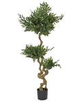 Plante artificielle RUSCUS TREE Noir - Vert - Matière plastique - 80 x 166 x 80 cm