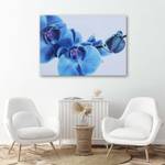 Bild auf Orchidee Blau Blumen leinwand