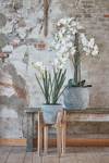 Kunstpflanze Phalaenopsis Weiß - Kunststoff - 51 x 79 x 75 cm