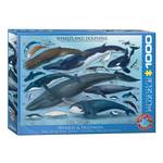 Puzzle Delfine und Wale 1000 Teile