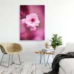 Leinwandbild Rosa Blumen