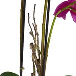 Kunstpflanze Violett Orchidee 42 cm Flieder - Violett
