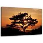 Wandbild Baum Sonnenuntergang Landschaft