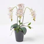 wei脽e K眉nstliche Phalaenopsis-Orchidee