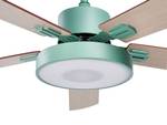 Deckenventilator mit Licht HOBBLE Grün - Mint - Eiche Hell