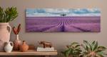 3D Lavendelfeld Panoramabild Landschaft