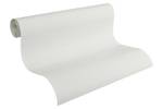 Überstreichbare Tapete Raufaseroptik Weiß - Kunststoff - Textil - 53 x 1005 x 1 cm