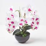 K眉nstliche wei脽-pinke Phalaenopsis