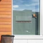 Vogelfutterhaus für Fenster groß Schwarz - Kunststoff - 30 x 13 x 12 cm