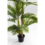Pflanze Deko Tree Palm