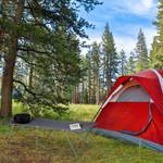 Lit de camp XXL couchage camping lit Gris - Argenté - Métal - Textile - 80 x 50 x 215 cm