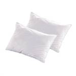 Lot de 2 oreillers ALASKA 60 x 60 cm