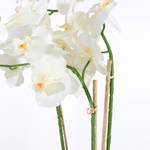 Kunstpflanze Phalaenopsis Weiß - Durchmesser: 38 cm
