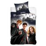 Bettwäsche Harry Potter Grau - Weiß - Textil - 135 x 200 x 1 cm