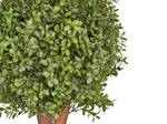 Kunstpflanze BUXUS BALL TREE 38 x 92 x 38 cm